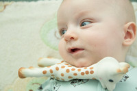 Botez_Vladimir_Stefan_005