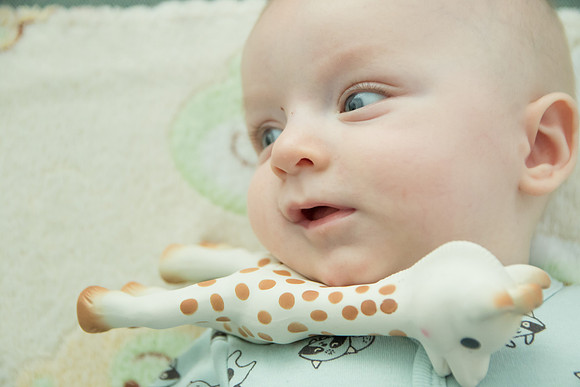 Botez_Vladimir_Stefan_005