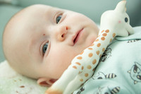 Botez_Vladimir_Stefan_006