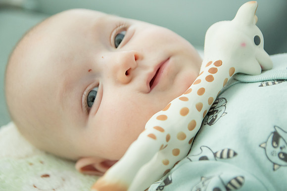 Botez_Vladimir_Stefan_006