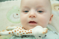 Botez_Vladimir_Stefan_004