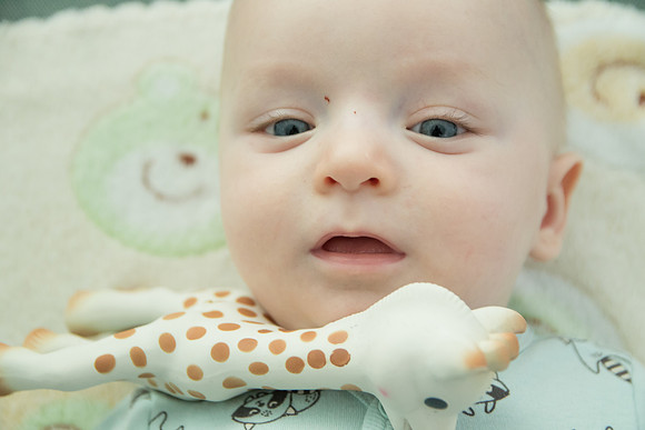 Botez_Vladimir_Stefan_004